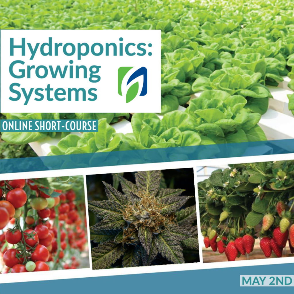 Hort Americas first online short course Hydroponics 101 is May 2