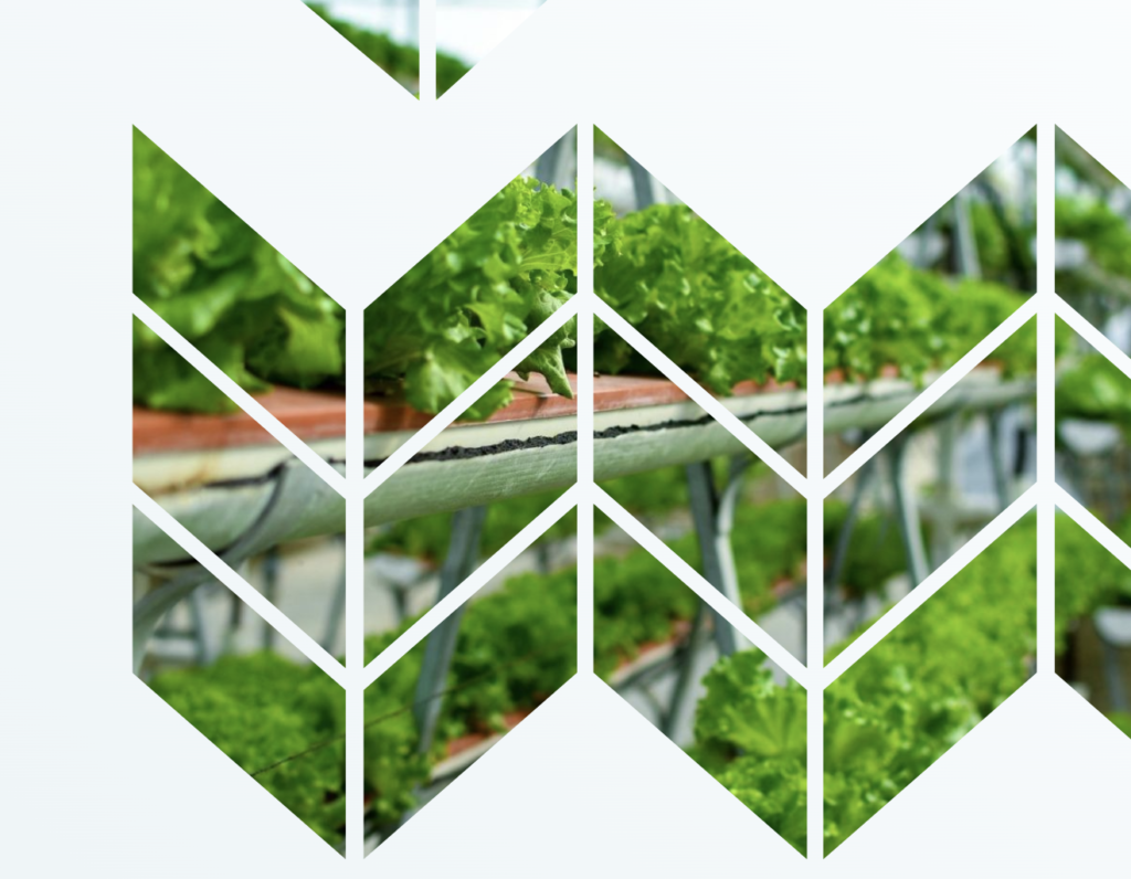 World’s First Vertical Farming Congress