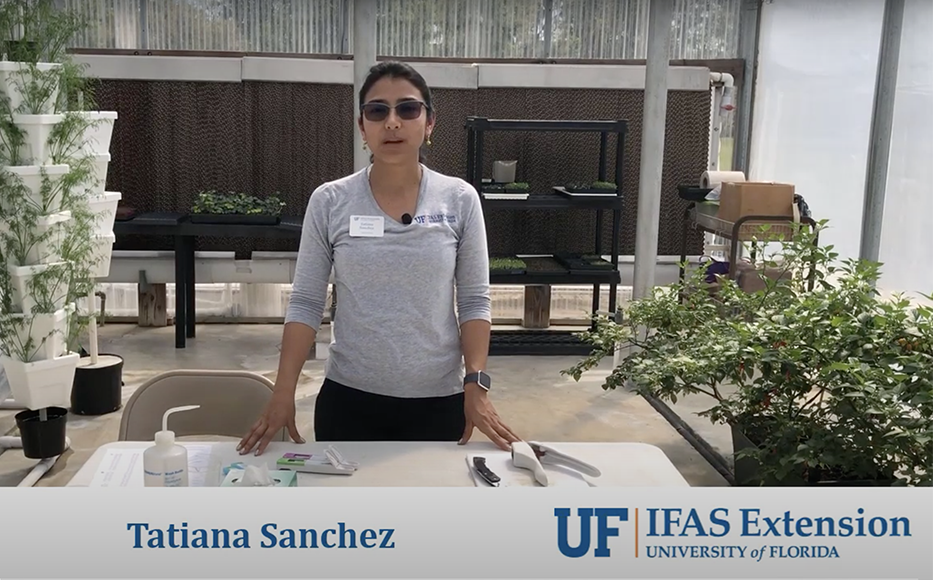 New English/Spanish Videos on Petiole Sap Nutrient Testing from University of Florida IFAS Extension