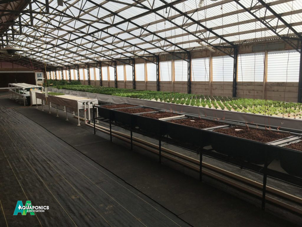USDA Voluntary G.A.P. Program