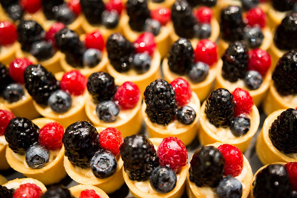 UF/IFAS team aims to increase blackberry yield with $76K Grant