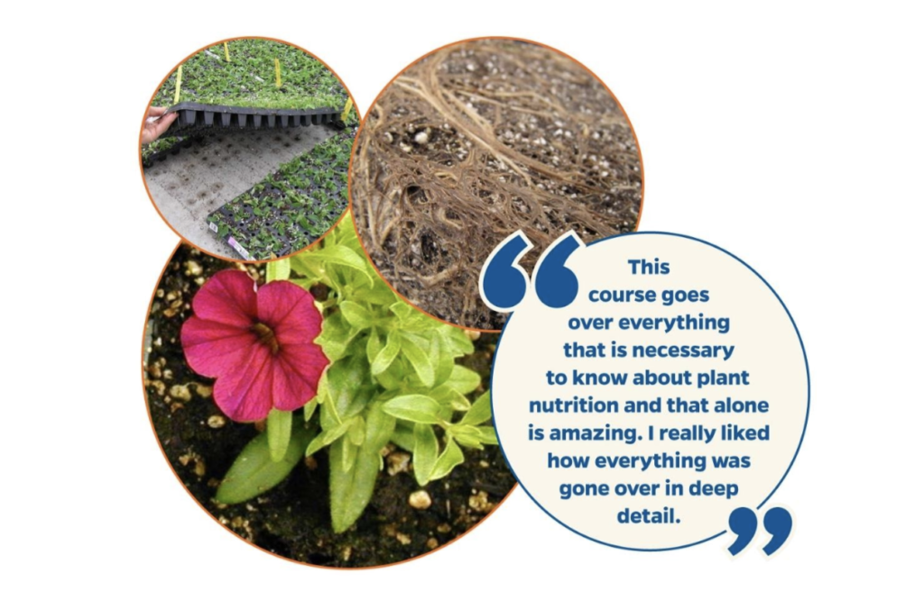 University of Florida Greenhouse Training Online Nutrient Management Level 1 Starts July 8