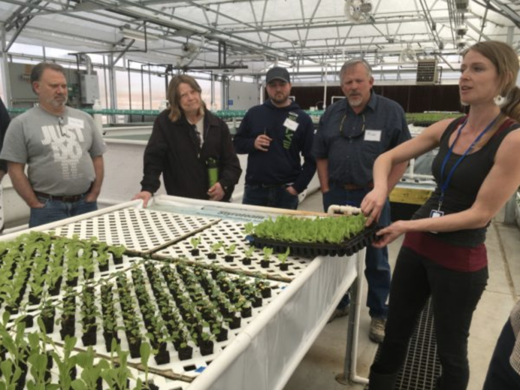 Aquaponic Growers Eligible for Coronavirus Assistance