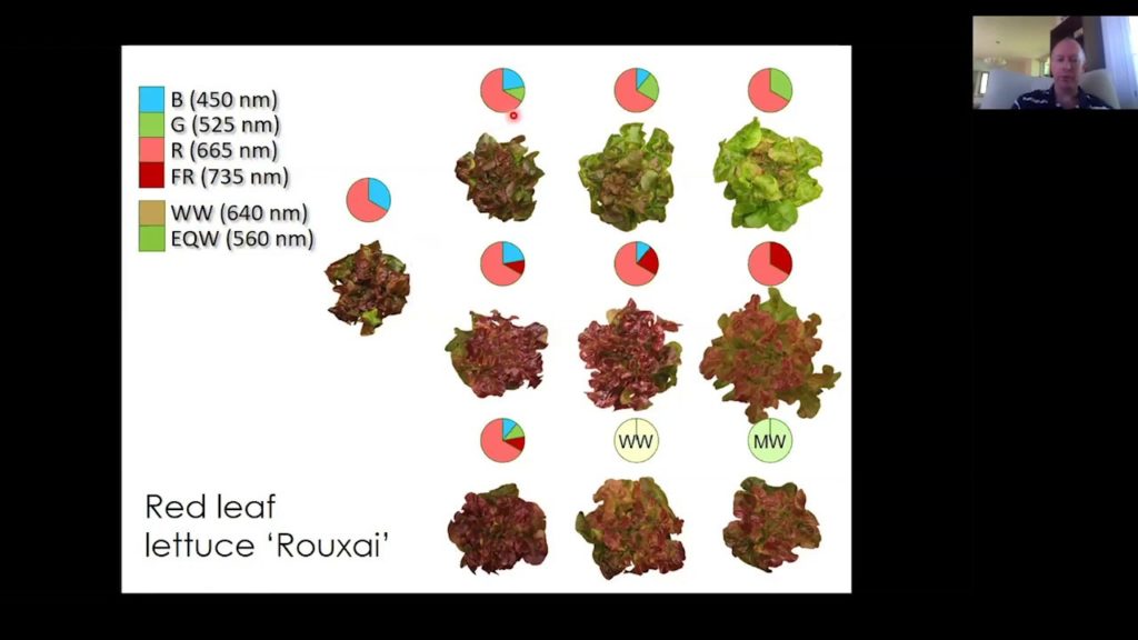 ‘Selecting an LED Fixture for Indoor Plant Production’ by Dr. Erik Runkle