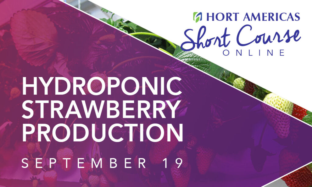Hort Americas offers new Short Courses online, next is on hydroponic strawberries