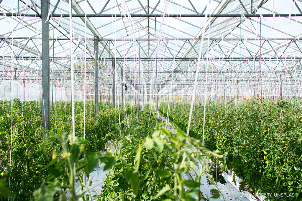 Autonomous Greenhouse Forum on September 10