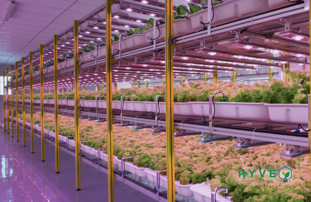 Hyve Indoor Farming Systems looking to hire Indoor Farming Technology Sales and Support position