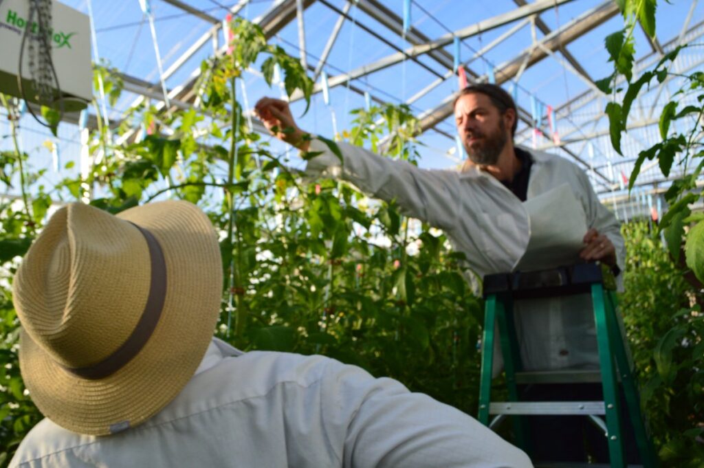 University of Arizona CEAC Hydroponic Online Intensive Workshop