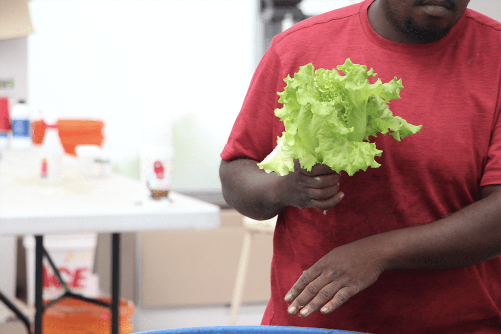 Discovering Gaps in Food Safety Practices of Small Texas Farms