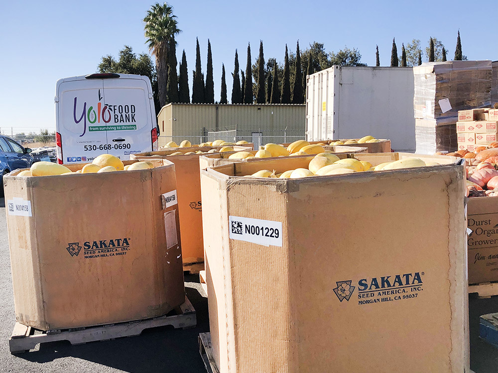 Sakata Seed America Increases Food Donations to Yolo Food Bank