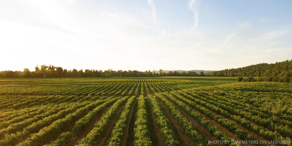 USDA’s Stakeholder Call