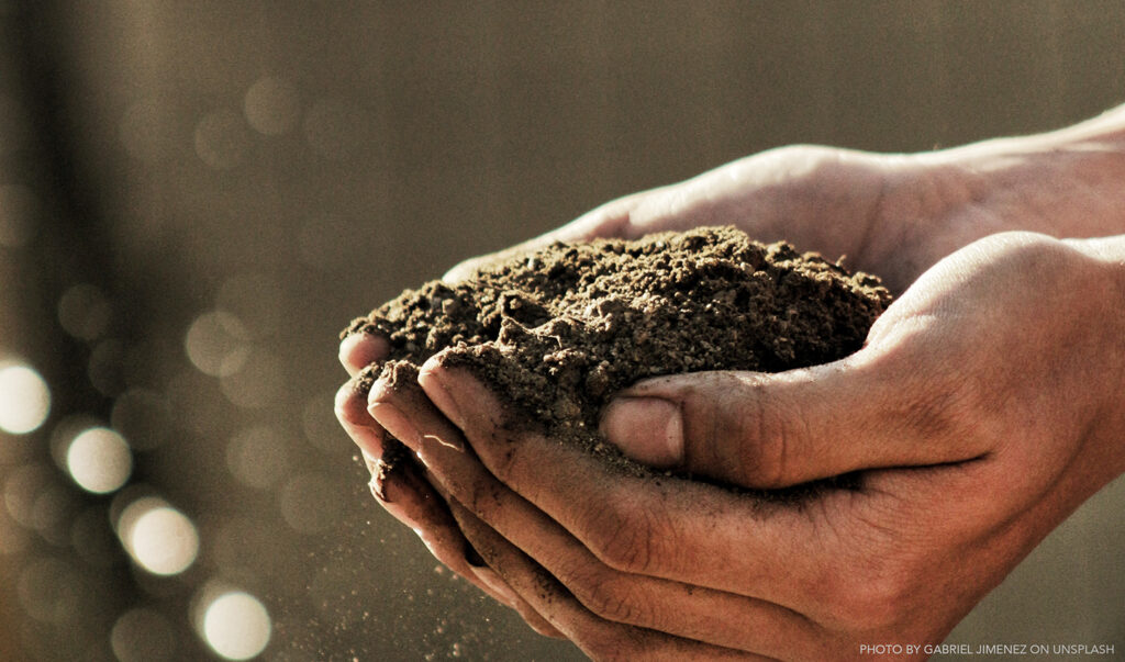 Koppert Biological Systems webinar series ‘Plants for Life, Plants to Survive’