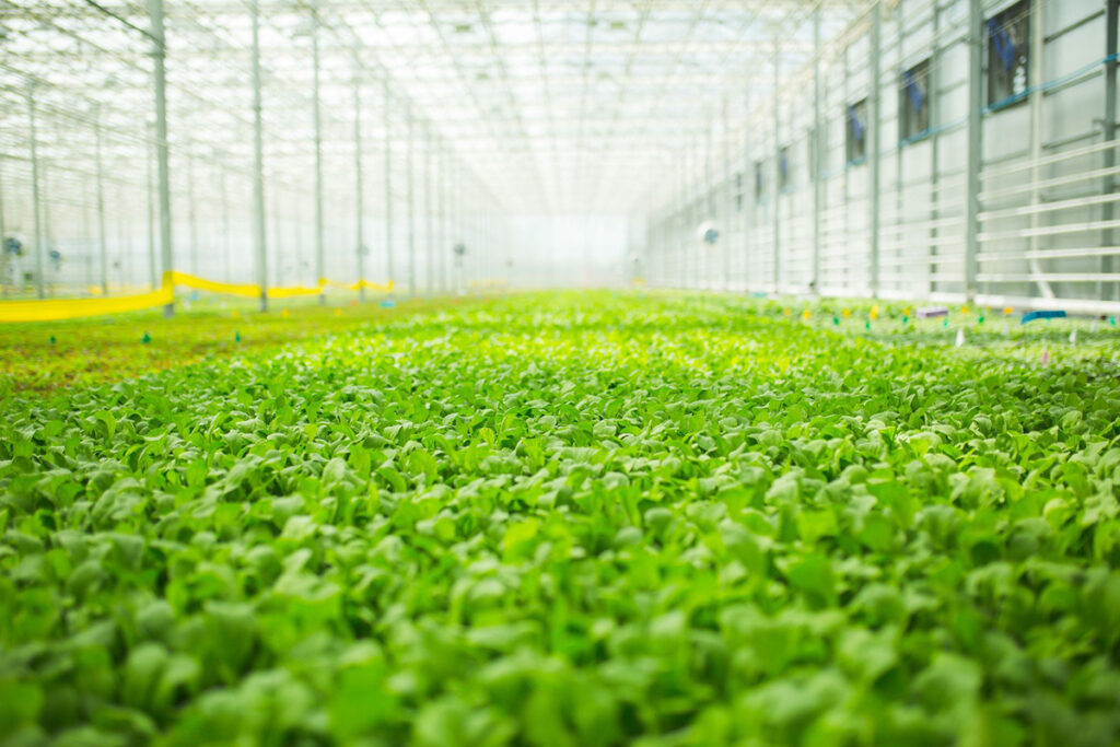 Is controlled environment agriculture addressing the issues facing the agriculture industry?
