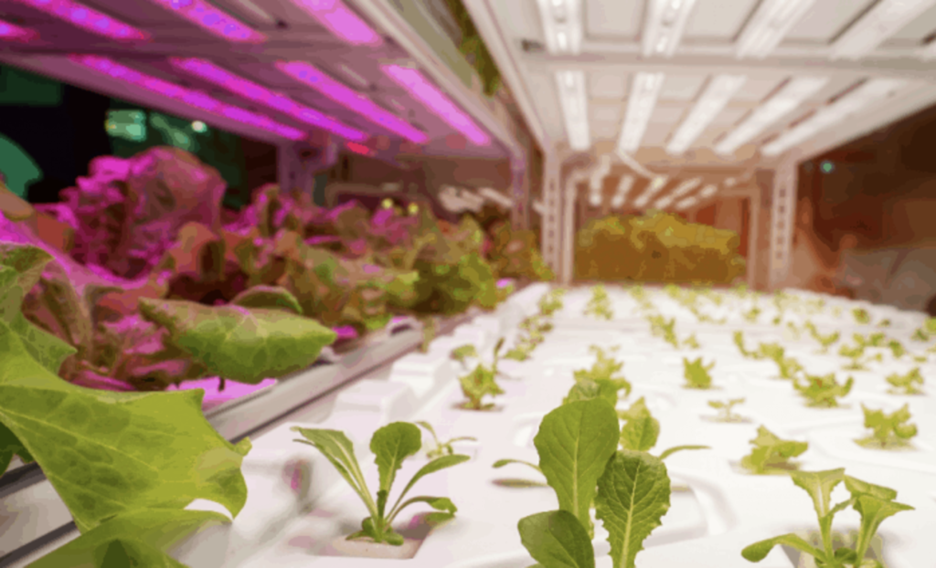 Indoor Ag Tech Innovation Summit 2021 goes virtual