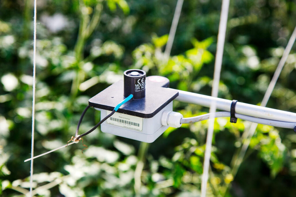 Wageningen University Research and Tencent Announce 3rd International Autonomous Greenhouse Challenge Wageningen Greenhouse challenge