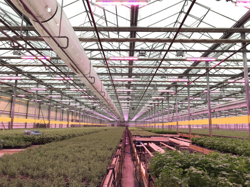 Is the latest technology worth the investment for your hydroponic farm? Shenandoah Growers, Virginia