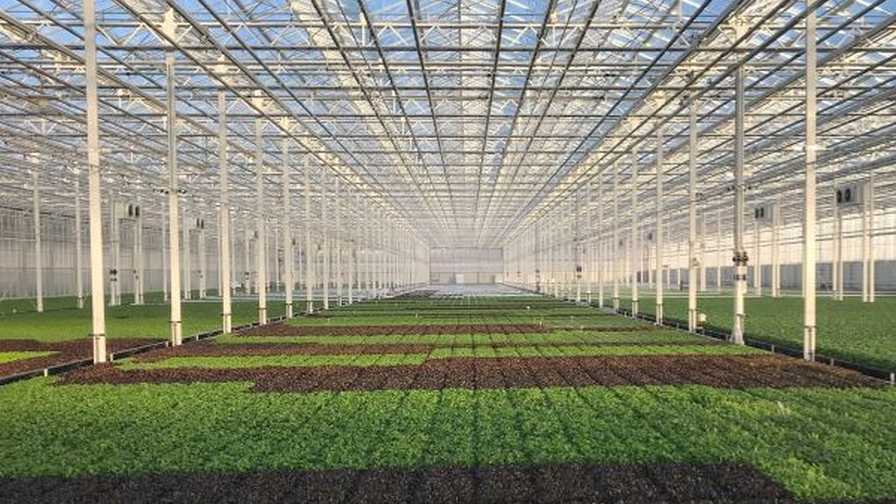University of Florida 2021 Greenhouse Training Online courses: Greenhouse 101
