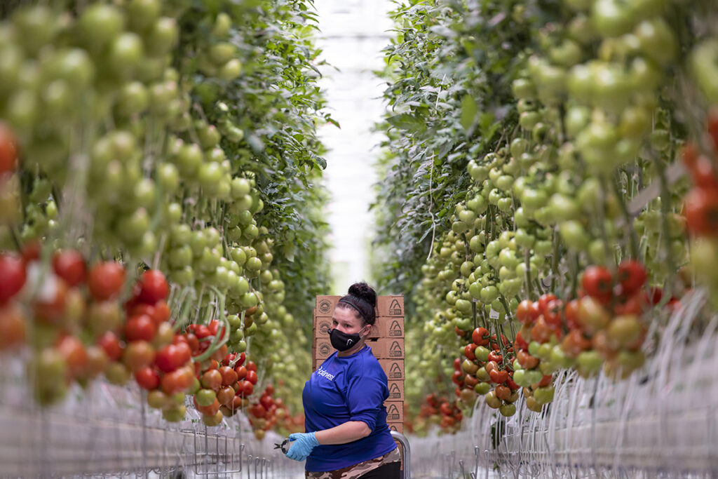 AppHarvest Announces Solid Q1 2021 Results in First Quarter as Publicly Traded Company
