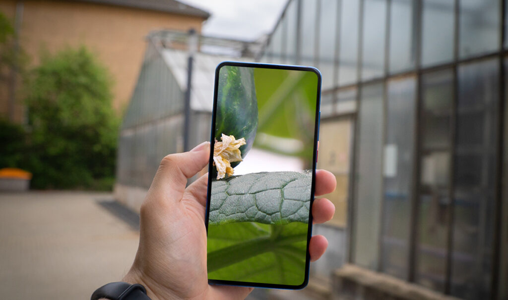 Indoor Ag Science Cafe’s latest video checks out how to turn a smart phone into a sensor