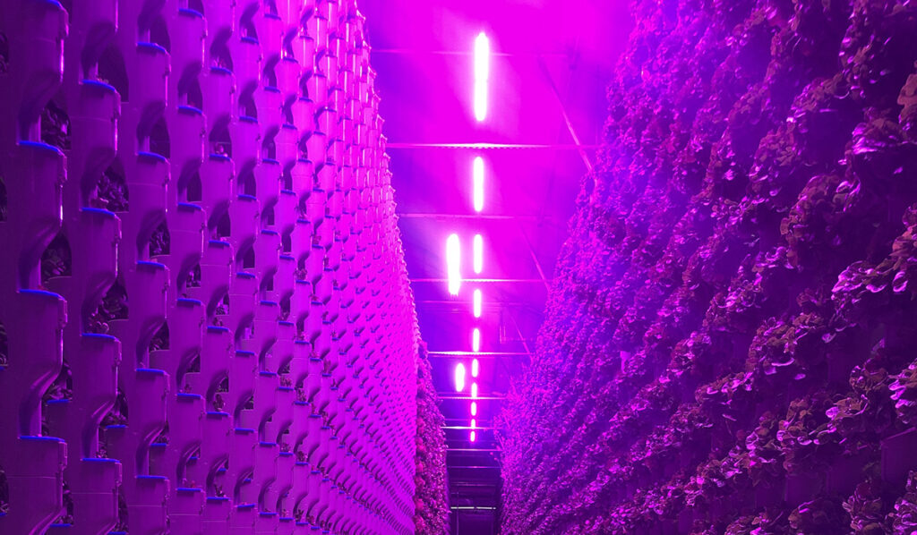 Why does energy efficiency matter when selecting LED grow lights?