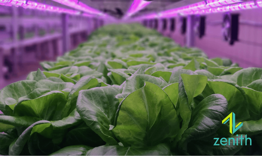 Vertical Farming Congress Raises Expectations