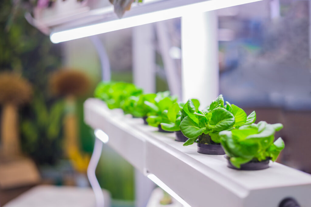 HortiCann Light + Tech Conference