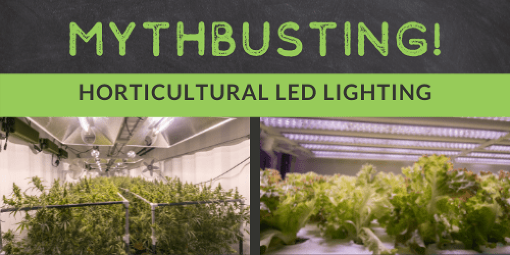 Separate Fact from Fiction with DesignLights Consortium’s Horticultural LED Webinar