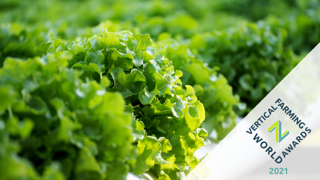 2021 Vertical Farming World Awards Finalists Announced