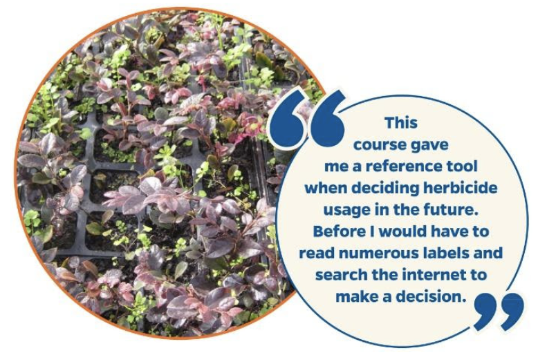 University of Florida Greenhouse Training OnlineWeed Management Starts November 3rd !