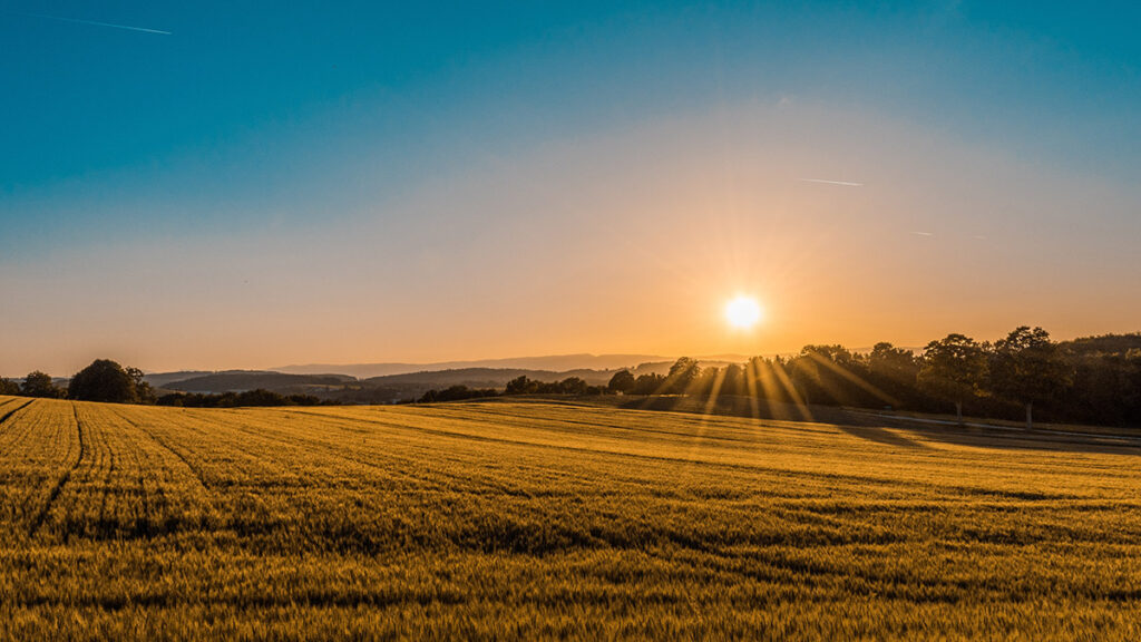 Industry Leaders Collaborating to Decarbonize Agriculture Supply Chain
