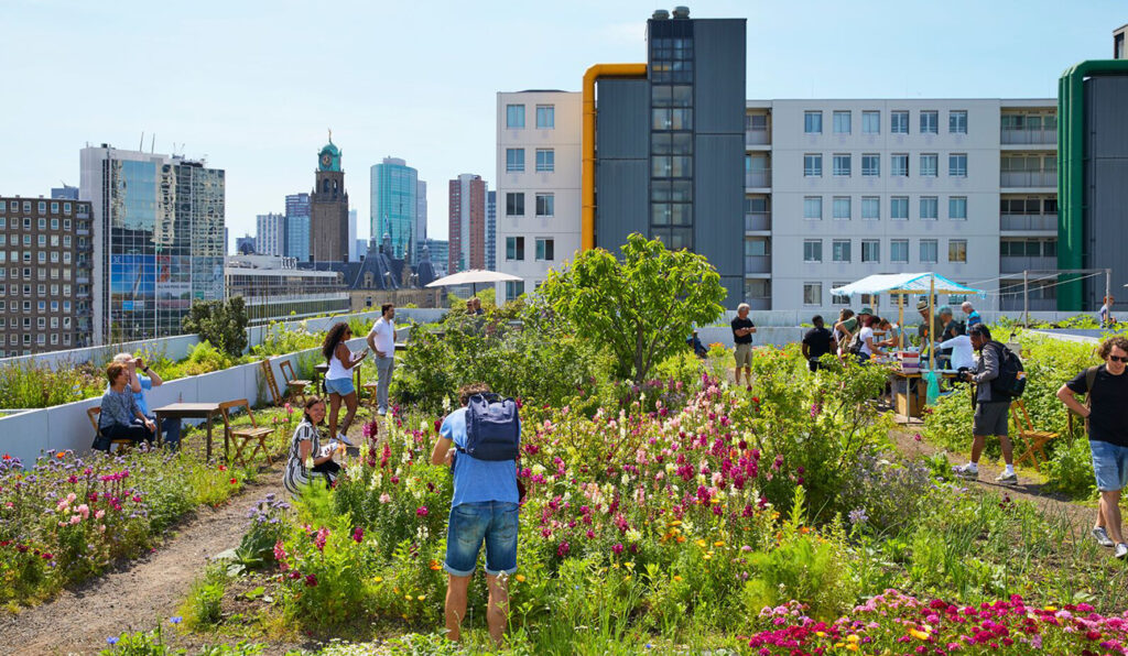 Urban Greenhouse Challenge #3 participants create a 5-part podcast series