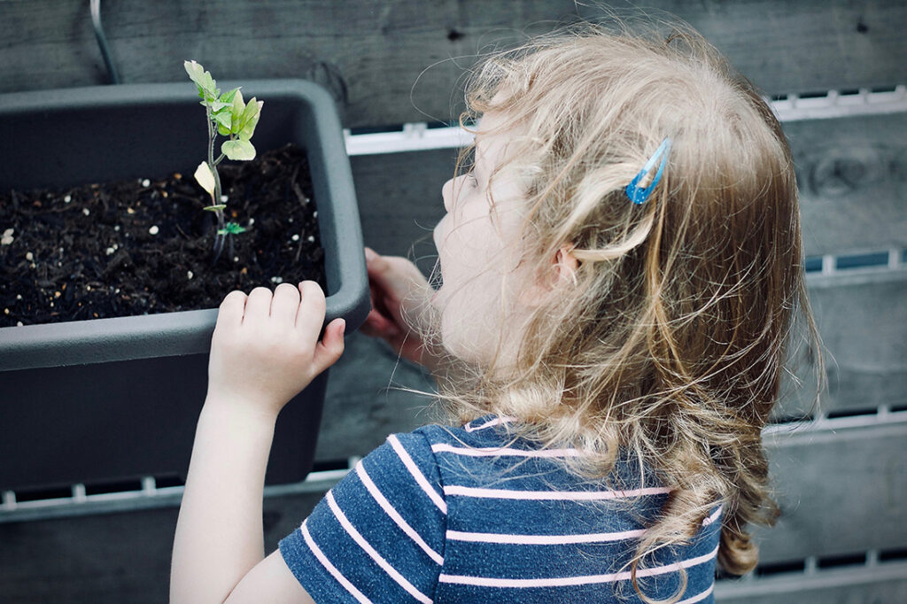 Alabama’s First Alternative Educational Farm Day Camp. $250,000 needed!