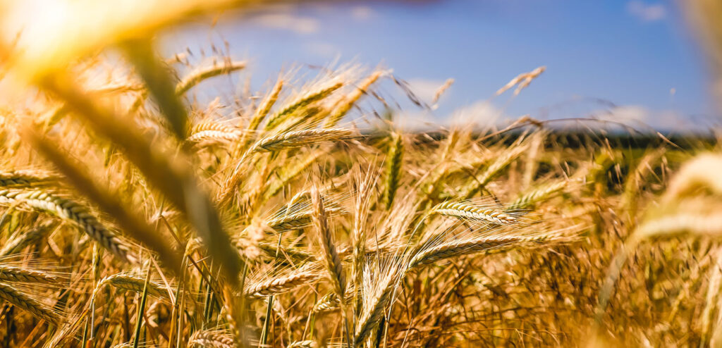 The Foundation for Food & Agriculture Research Annual Call for Reviewers