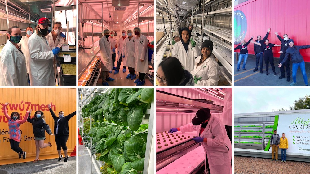 Job opportunity: Product Technician, Growcer