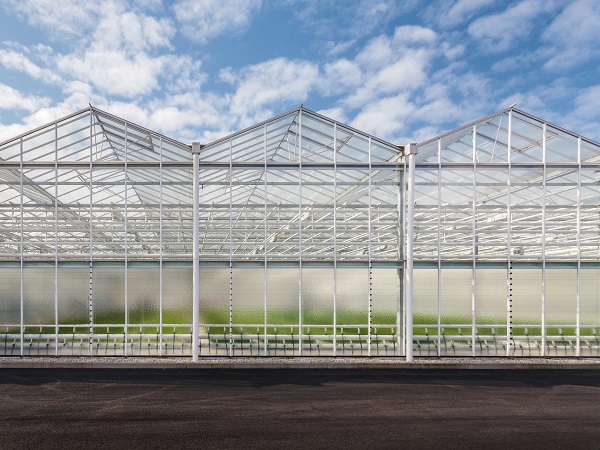 Can the Dutch vegetable greenhouse chain bear the increasing costs?