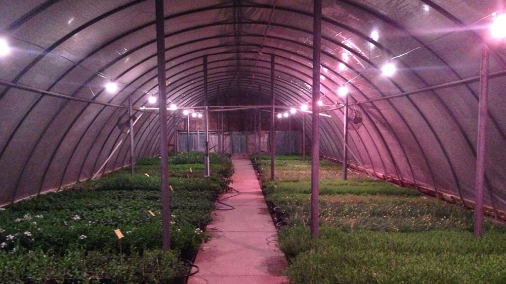 What is the “best” grow light for your controlled environment operation?