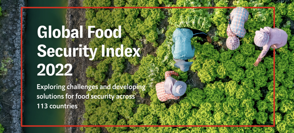 The world remains dangerously unprepared to meet skyrocketing food prices and hunger