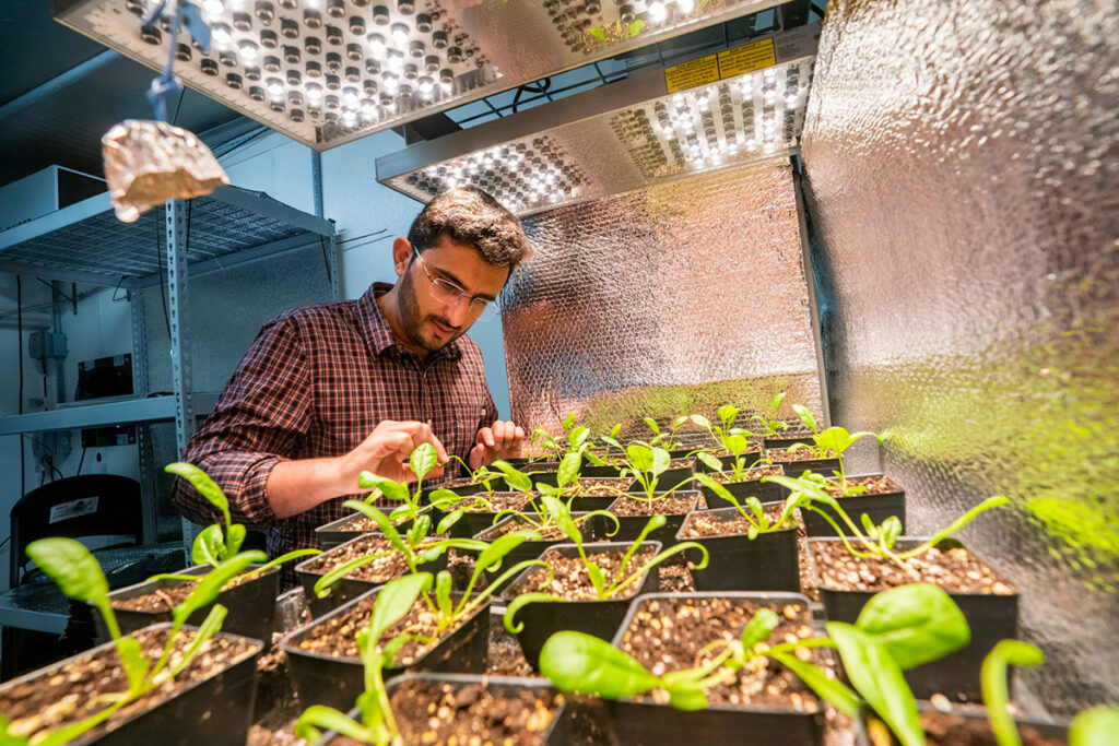 Texas A&M AgriLife seeks input on controlled environment agriculture