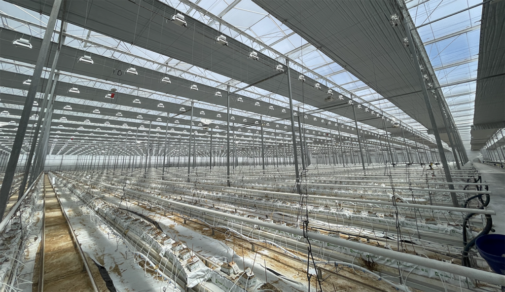 Why the Jury is still out on Robotics and Autonomous Intelligence (AI) In Agriculture