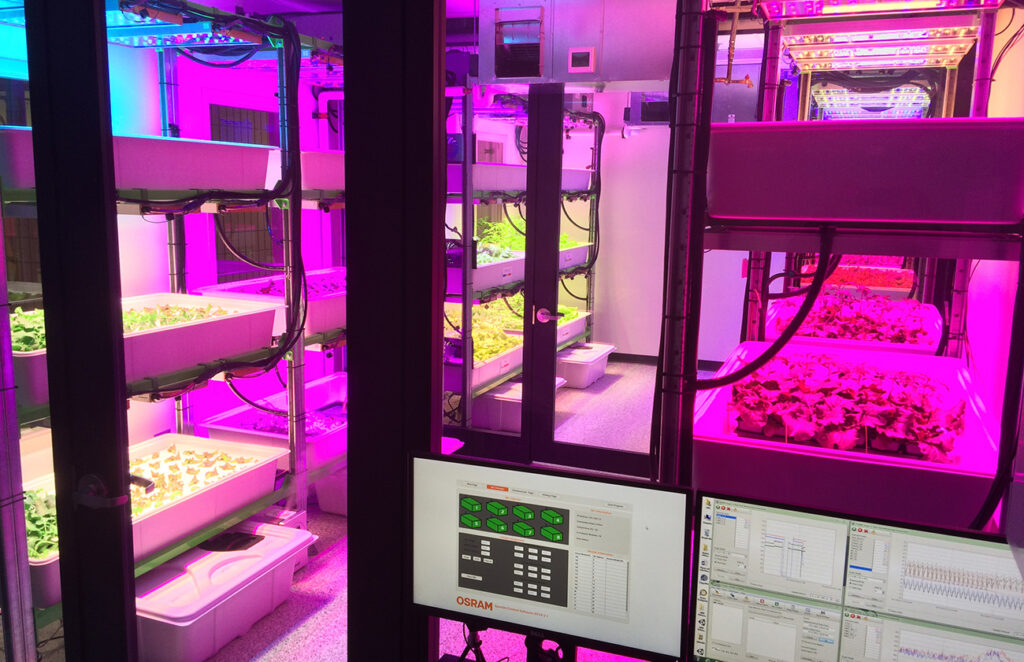 What impact does light have on controlled environment leafy greens production?
