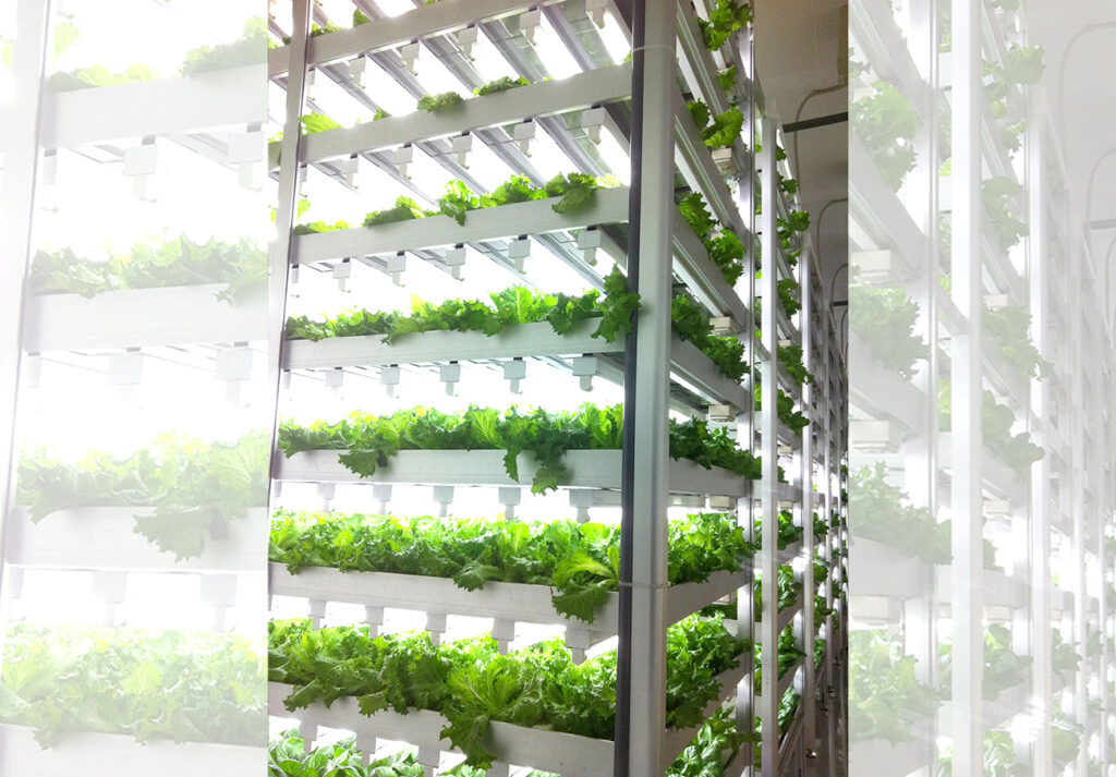 Where can you get accurate information about indoor farm production?