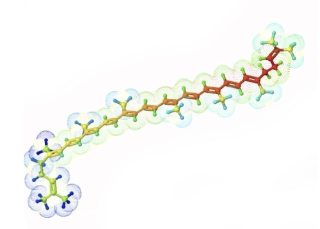 Bioactives: What are they, why are they important and how will they impact CEA and Ag-tech?