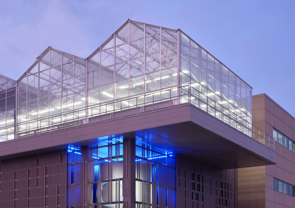 Texas A&M AgriLife expands controlled environment horticulture initiatives