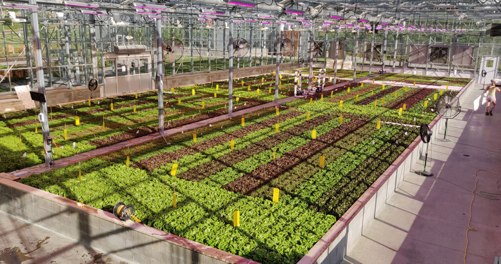 Locally Grown – A Fad or a Trend? Dead or Alive?
