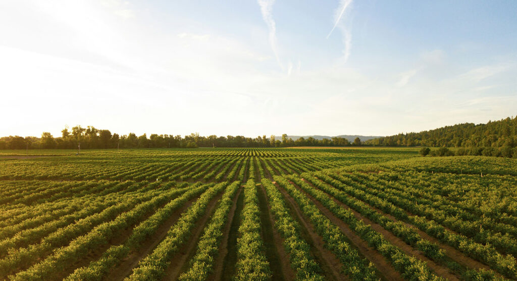 USDA Reminds Producers of Climate-Smart Opportunities Using Farm Loan Programs