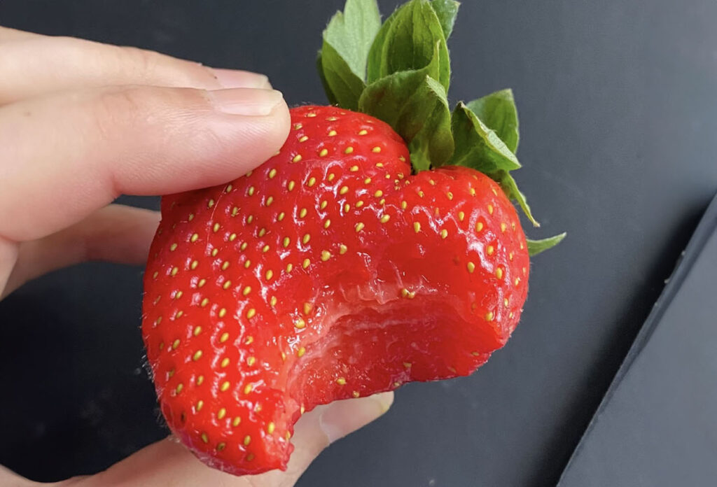 Strawberries: Does bigger mean better?