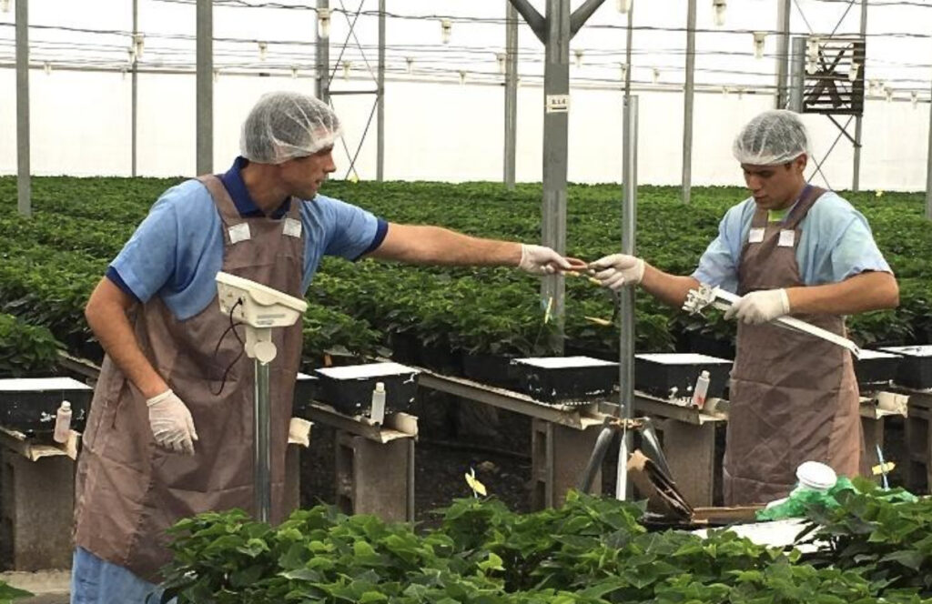 University of Florida Greenhouse Training Online courses start on September 8th!