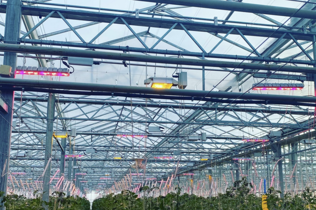 “Lighting is more than just illumination, operators can unlock new avenues for optimization and innovation”