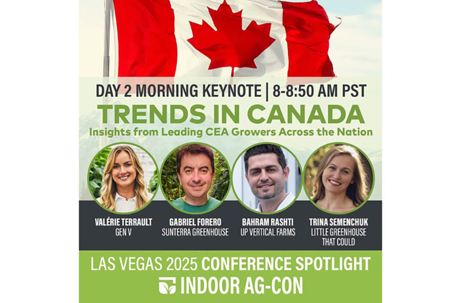 Top Canadian CEA Leaders to Share Market Innovations and Strategies at March 11-12, 2025 Event in Las Vegas