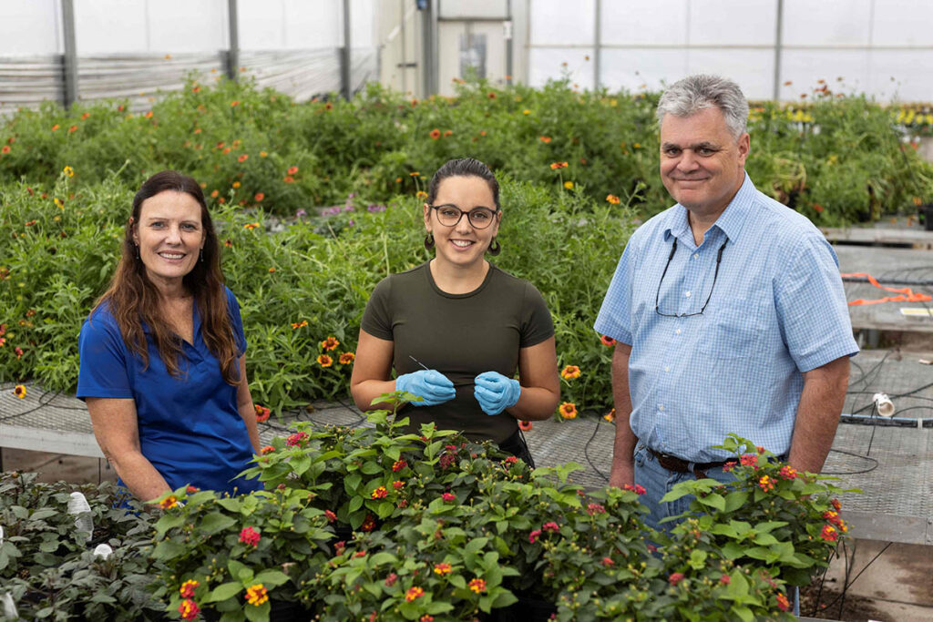 UF/IFAS research protects pollinators from harmful pesticide exposures